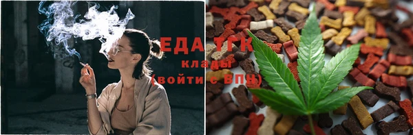 шишки Анива