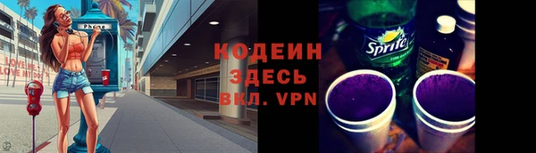 прущие грибы Алагир