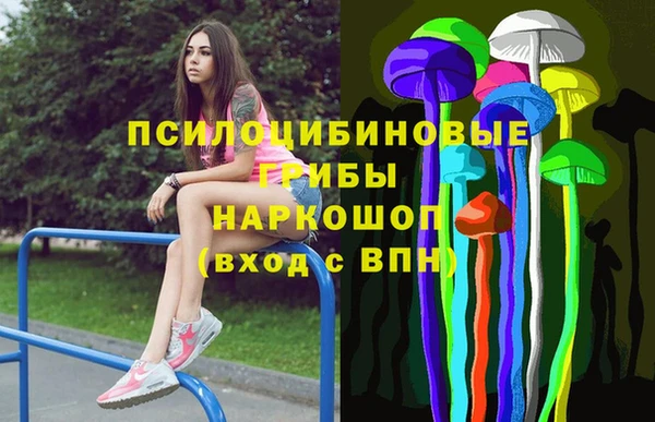 СК Лиски
