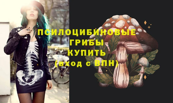 ГАЛЛЮЦИНОГЕННЫЕ ГРИБЫ Майский