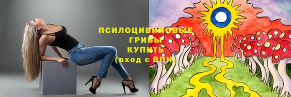 ГАЛЛЮЦИНОГЕННЫЕ ГРИБЫ Майский